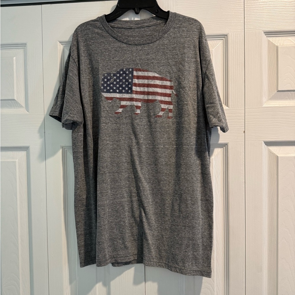 Gray Medora, ND Graphic T-Shirt with American Flag Bison Design